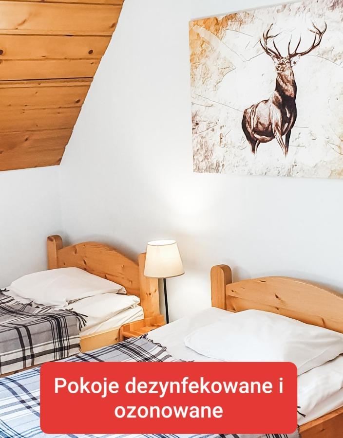 Bed and Breakfast Zakopane Stop Экстерьер фото